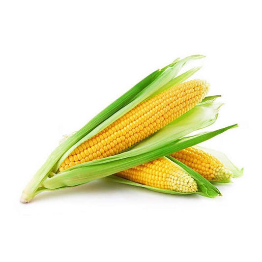 Csemegekukorica