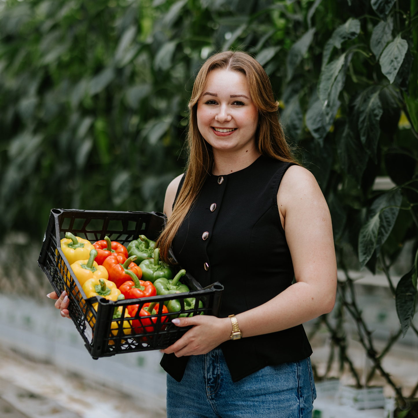 Piros kaliforniai paprika 500g